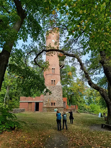 202609190-06 - Bismarckturm bei Bad Freienwalde, Seenland Oder-Spree, Brandenburg, Deutschland