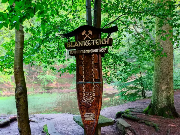 202308180-27 - Blanketeich im Deister, Weserbergland, Niedersachsen, Deutschland