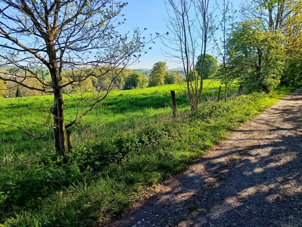 202604230-05 - Blick auf das Düsseltal, Bergisches Land, Nordrhein-Westfalen, Deutschland