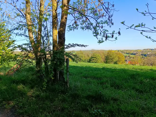 202604230-06 - Blick auf das Düsseltal, Bergisches Land, Nordrhein-Westfalen, Deutschland