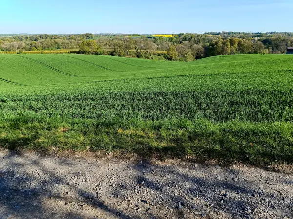202604230-04 - Blick auf Düsseltal, Bergisches Land, Nordrhein-Westfalen, Deutschland