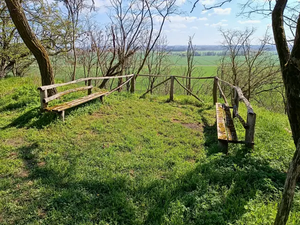 202604150-14 - Blick in das Oderbruch von den Wallbergen bei Reitwein, Seenland Oder-Spree, Brandenburg, Deutschland