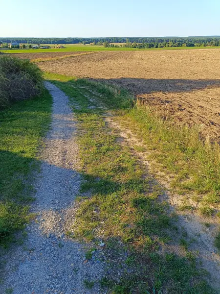 202608080-17 - Blick in das Urstromtal bei Baruth, Fläming, Brandenburg, Deutschland