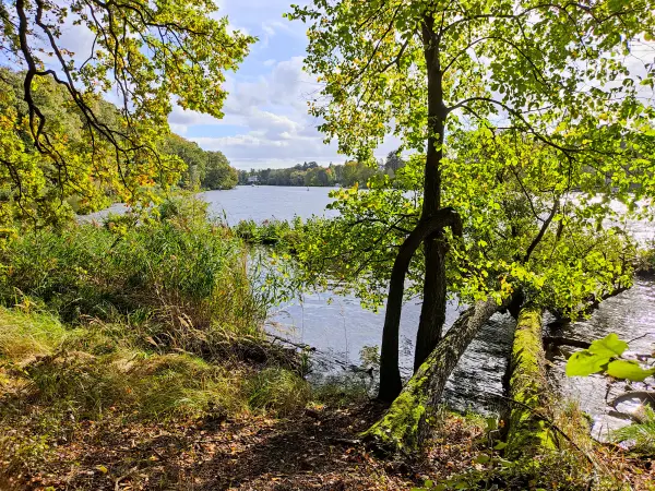 202310140-37 - Blick über den Griebnitzsee, Berlin, Deutschland