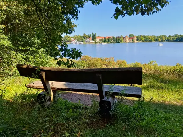 202508110-16 - Blick über den Grienericksee auf Schloss Rheinsberg, Ruppiner Seenland, Brandenburg, Deutschland