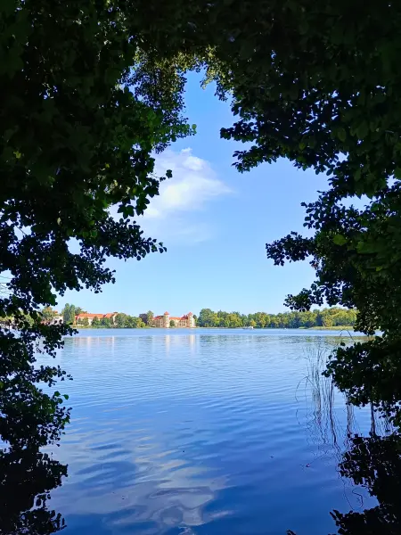 202508110-17 - Blick über den Grienericksee auf Schloss Rheinsberg, Ruppiner Seenland, Brandenburg, Deutschland