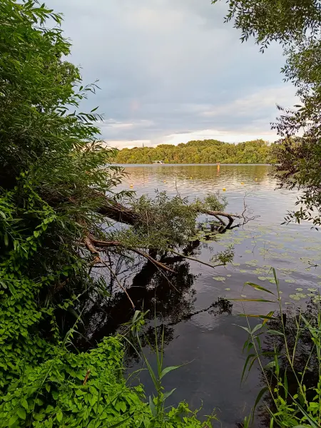 202507300-32 - Blick über den Templiner See, Potsdam, Brandenburg, Deutschland
