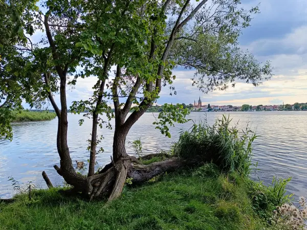 202507300-09 - Blick über die Havel auf Werder, Brandenburg, Deutschland