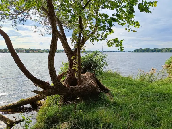 202507300-10 - Blick über die Havel auf Werder, Brandenburg, Deutschland