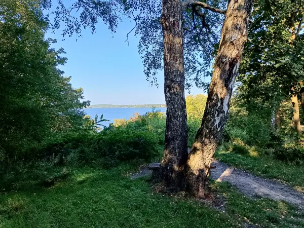 202509270-02 - Blick vom Grunewald auf die Havel, Berlin, Deutschland