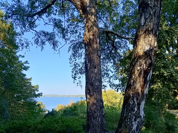 202509270-04 - Blick vom Grunewald auf die Havel, Berlin, Deutschland