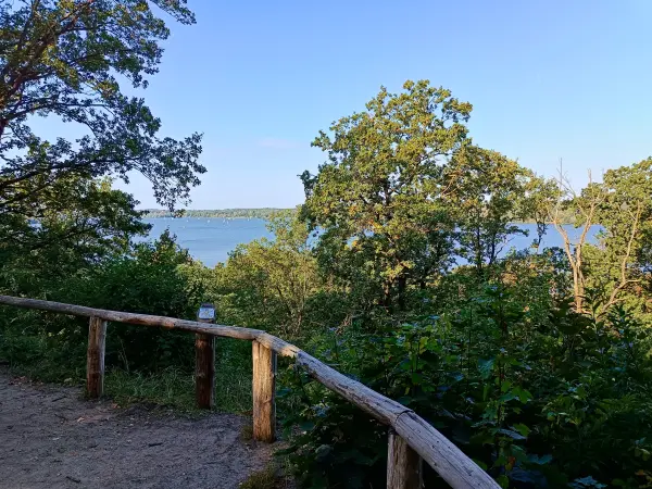 202509270-09 - Blick vom Grunewald auf die Havel, Berlin, Deutschland