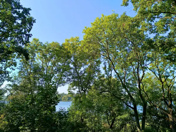 202509270-17 - Blick vom Grunewald auf die Havel, Berlin, Deutschland