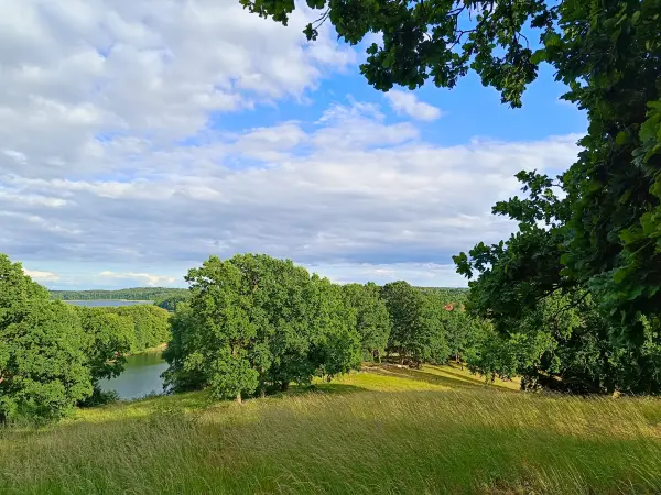 202606090-18 - Blick vom Hauptmannsberg bei Carwitz, Mecklenburgische Seenplatte, Mecklenburg-Vorpommern, Deutschland