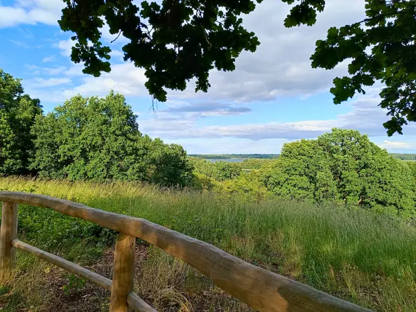 202606090-19 - Blick vom Hauptmannsberg bei Carwitz, Mecklenburgische Seenplatte, Mecklenburg-Vorpommern, Deutschland