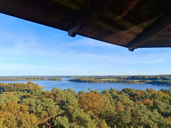 202510130-34 - Blick vom Jörnbergturm bei Krakow am See, Mecklenburgische Seenplatte, Mecklenburg-Vorpommern, Deutschland