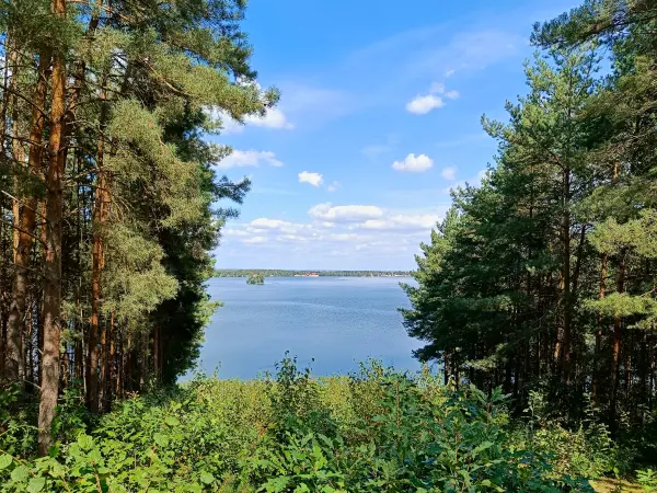 202408260-23 - Blick von der Hoffmannshöhe auf den Bergwitzsee, Anhalt-Dessau-Wittenberg, Sachsen-Anhalt, Deutschland