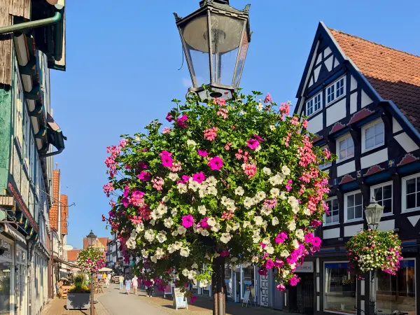 202308181-25 - Blumenampel und Fachwerkhäuser in Celle, Lüneburger Heide, Niedersachsen, Deutschland