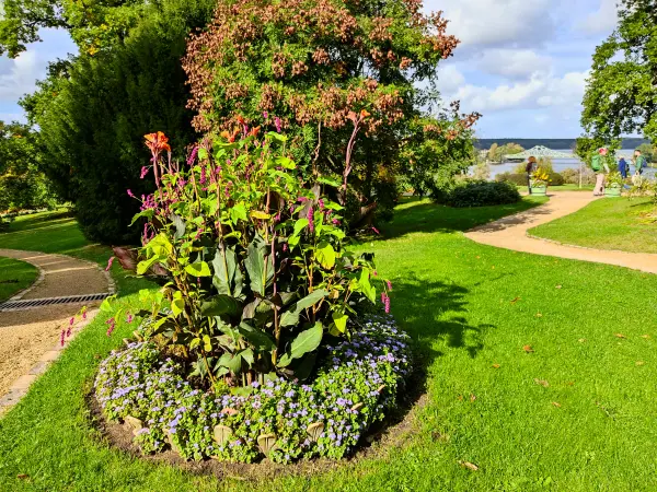 202310140-33 - Blumenbeet im Park Babelsberg, Potsdam, Brandenburg, Deutschland