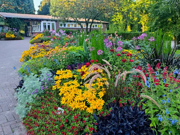 202308221-23 - Blumenbeet vor dem Loki-Schmidt-Garten in Klein Flottbek, Hamburg, Deutschland