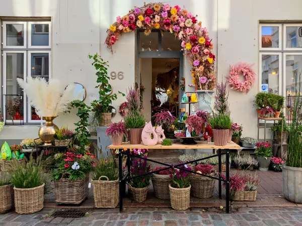 202309210-30 - Blumengeschäft in Lübeck, Lübecker Bucht, Schleswig-Holstein, Deutschland