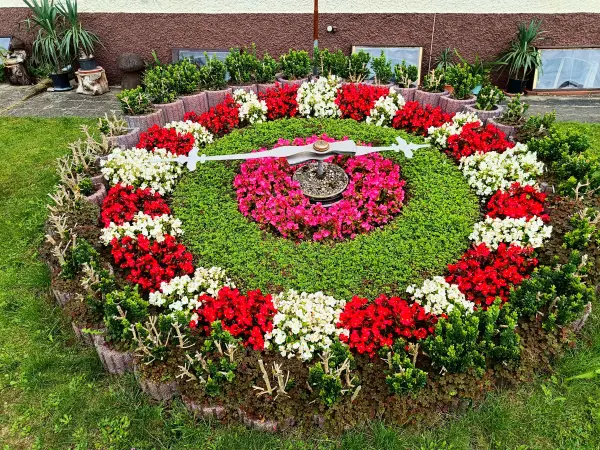 202508020-27 - Blumenuhr in Waldsieversdorf, Märkische Schweiz, Seenland Oder-Spree, Brandenburg, Deutschland