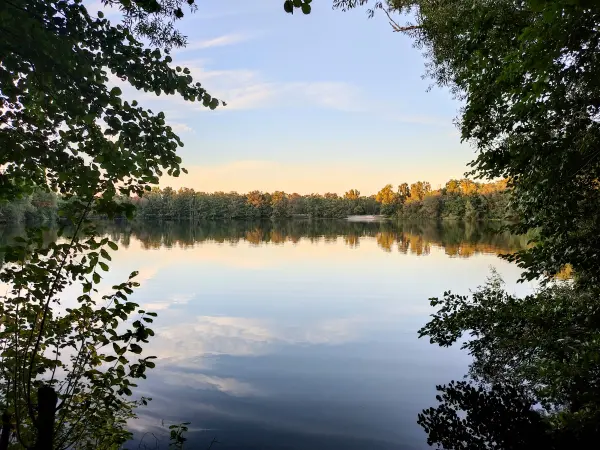 202309241-25 - Boberger See in der Boberger Niederung, Hamburg, Deutschland