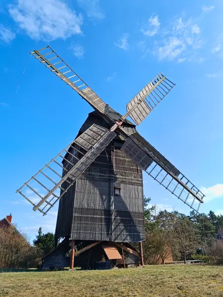 202603120-13 - Bockwindmühle in Mützel, Elbe-Börde-Heide, Sachsen-Anhalt, Deutschland