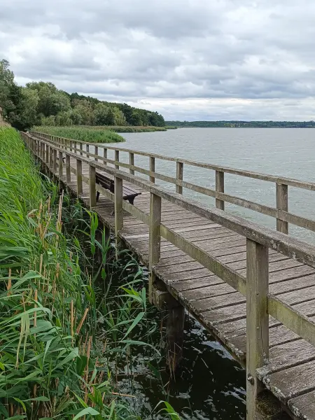 202609040-25 - Bohlenweg am Blankensee, Fläming, Brandenburg, Deutschland