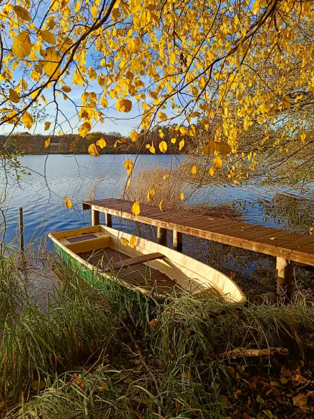 202511040-26 - Boot auf dem Schlesersee bei Carpin, Mecklenburgische Seenplatte, Mecklenburg-Vorpommern, Deutschland