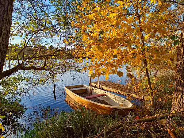 202511040-27 - Boot auf dem Schlesersee bei Carpin, Mecklenburgische Seenplatte, Mecklenburg-Vorpommern, Deutschland