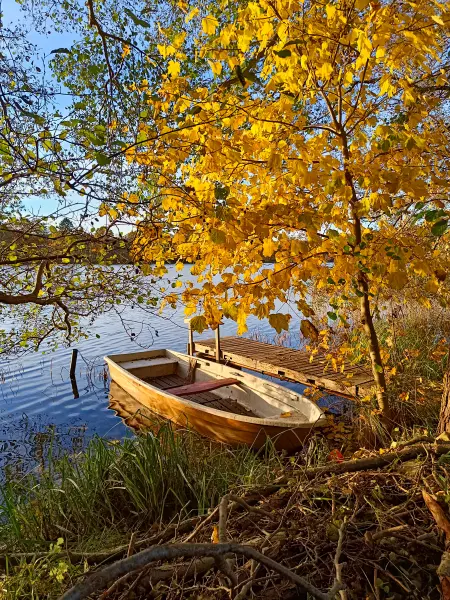 202511040-28 - Boot auf dem Schlesersee bei Carpin, Mecklenburgische Seenplatte, Mecklenburg-Vorpommern, Deutschland