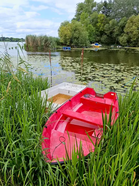 202507260-30 - Boote am Wendsee bei Kirchmöser, Havelland, Brandenburg, Deutschland