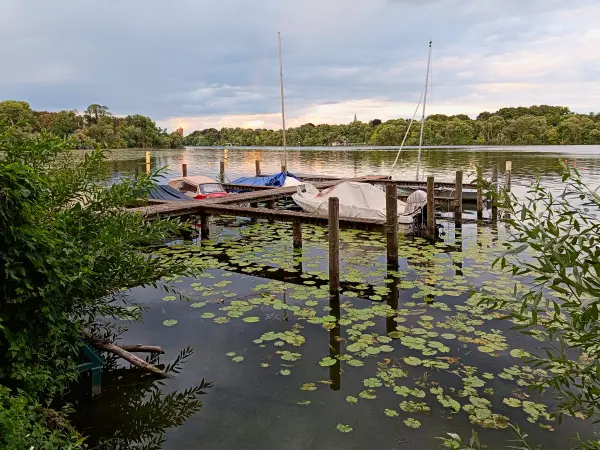 202507300-33 - Boote auf dem Templiner See, Potsdam, Brandenburg, Deutschland