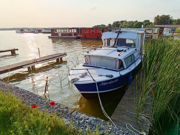 202506030-43 - Boote auf dem Zierker See bei Neustrelitz, Mecklenburgische Seenplatte, Mecklenburg-Vorpommern, Deutschland