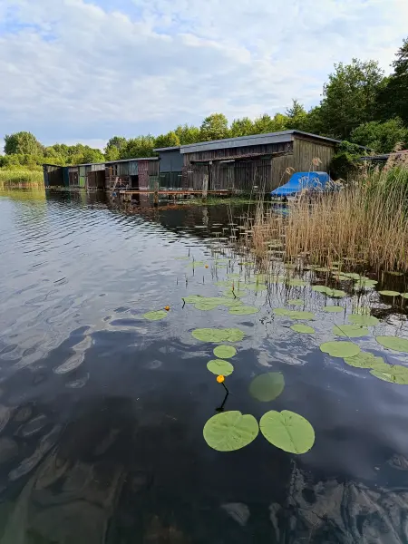 202606060-47 - Bootshäusern auf dem Woblitzsee bei Wesenberg, Mecklenburgische Seenplatte, Mecklenburg-Vorpommern, Deutschland