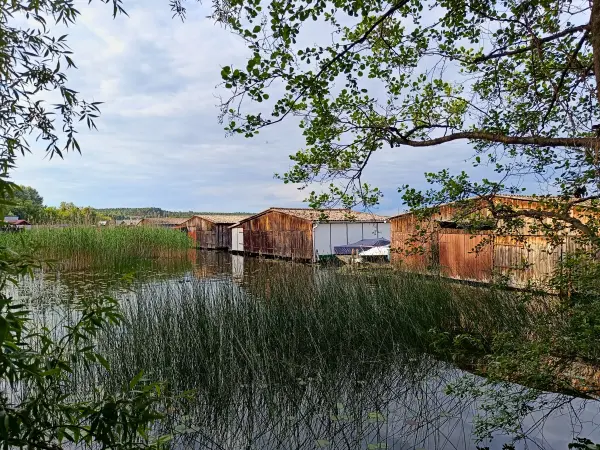 202606060-48 - Bootshäusern auf dem Woblitzsee bei Wesenberg, Mecklenburgische Seenplatte, Mecklenburg-Vorpommern, Deutschland
