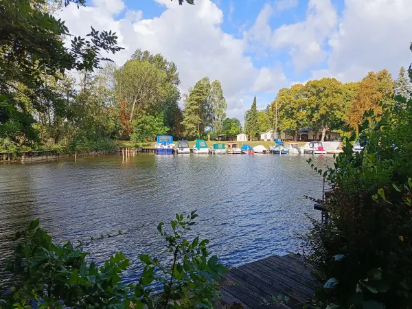 202609050-08 - Bootshafen in Seehof, Ruppiner Seenland, Brandenburg, Deutschland