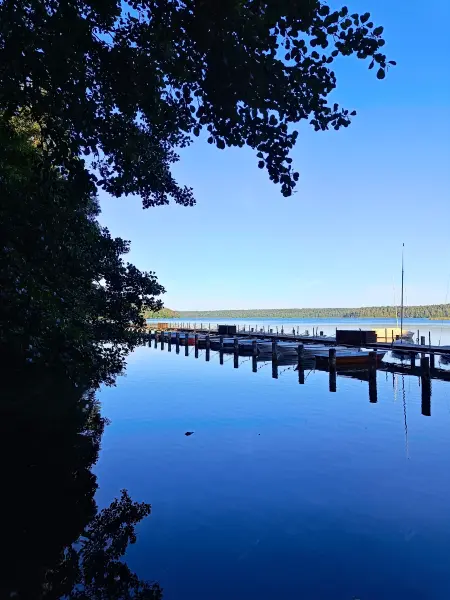 202509010-35 - Bootssteg am Großen Stechlinsee im NSG Stechlin, Ruppiner Seenland, Brandenburg, Deutschland