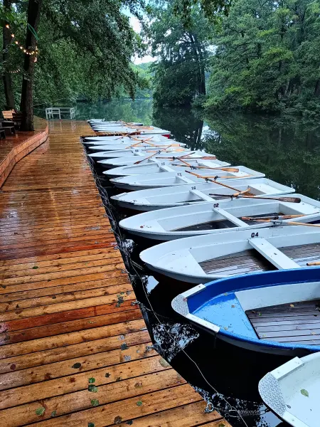 202507230-11 - Bootsverleih am Neuen See im Tiergarten, Berlin, Deutschland