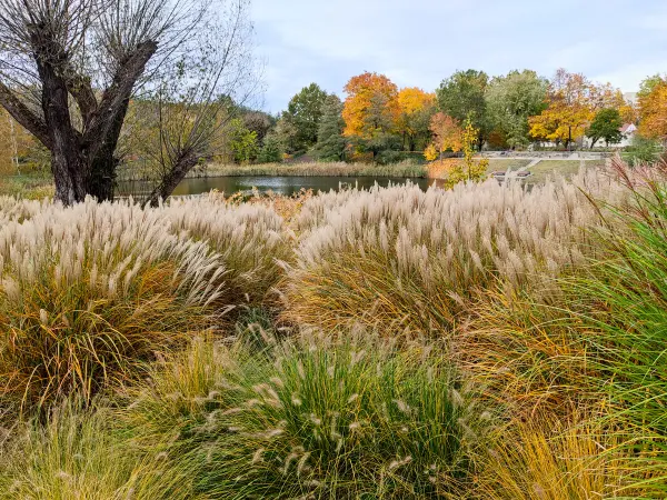 202311020-35 - Botanischer Garten in Frankfurt (Oder), Seenland Oder-Spree, Brandenburg, Deutschland
