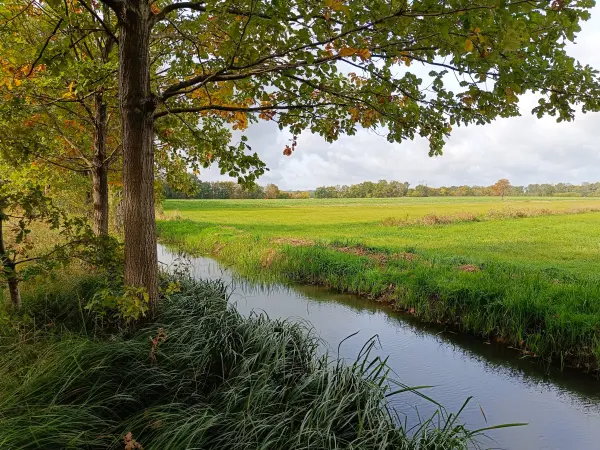202610140-10 - Brachnachgraben bei Gehren, Lausitz, Brandenburg, Deutschland