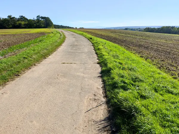 202210040-45 - Brockenblick am Schieferberg bei Wolfenbüttel, Niedersachsen, Deutschland
