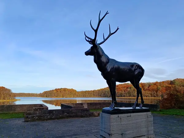 202511050-29 - Bronzener Hirsch am Groß Labenzer See bei Friedrichswalde, Mecklenburgische Seenplatte, Mecklenburg-Vorpommern, Deutschland