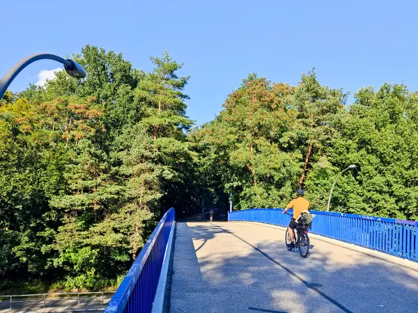 202308221-01 - Brücke am Altonaer Volkspark in Altona, Hamburg, Deutschland