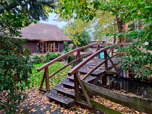 202310230-35 - Brücke in Lehde, Spreewald, Brandenburg, Deutschland