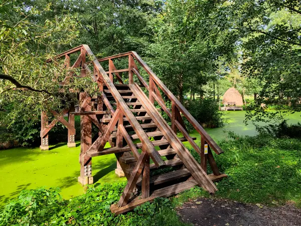 202310060-04 - Brücke über das Göritzer Mühlenfließ bei Raddusch, Spreewald, Brandenburg, Deutschand