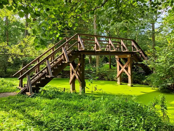202310060-05 - Brücke über das Göritzer Mühlenfließ bei Raddusch, Spreewald, Brandenburg, Deutschand