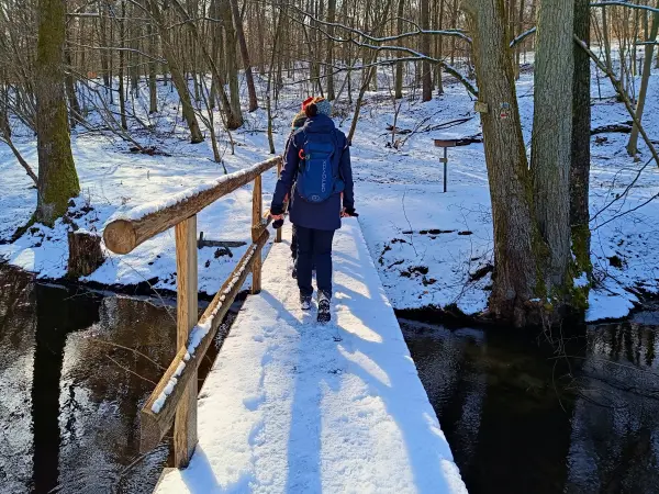 202502150-08 - Brücke über das Hellmühler Fließ im Biesenthaler Becken, Barnimer Land, Brandenburg, Deutschland