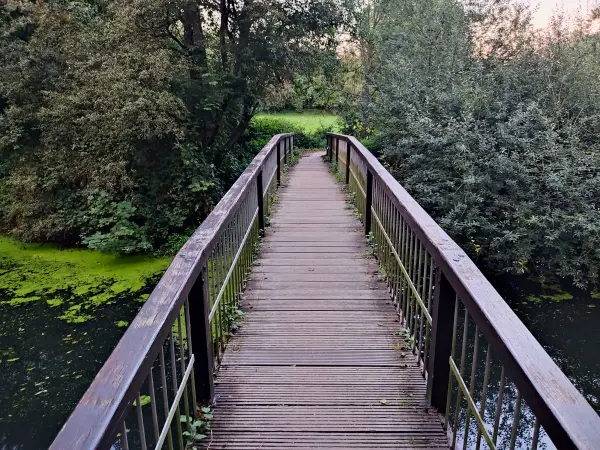 202309241-28 - Brücke über die Bille an der Boberger Niederung, Hamburg, Deutschland